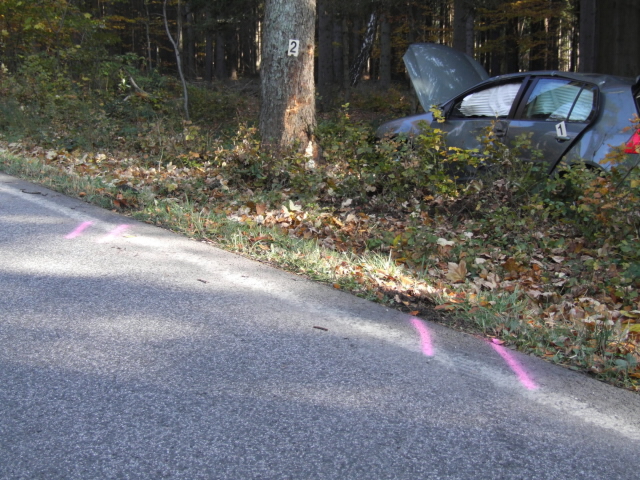 Kocbeře 23.10.