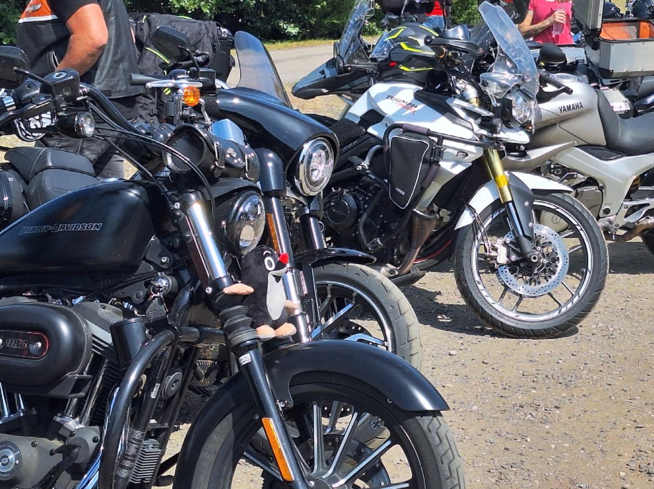 Kolama dolů - učme se přežít v Královéhradeckém kraji 2025