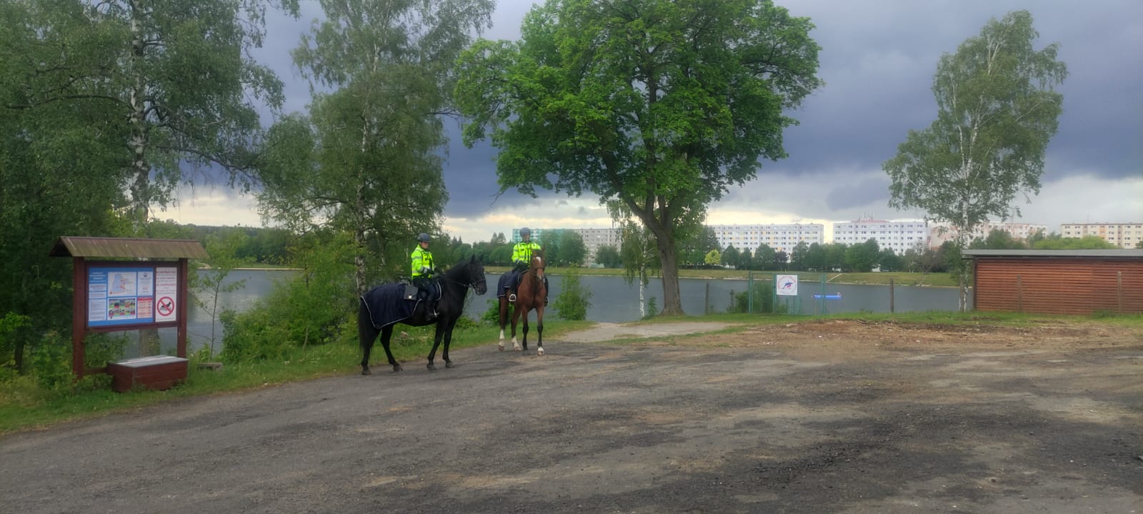 Koně u jablonecké přehrady (2)