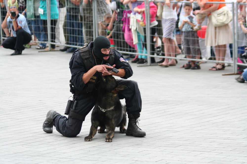 Konečný_Hank (2).jpg