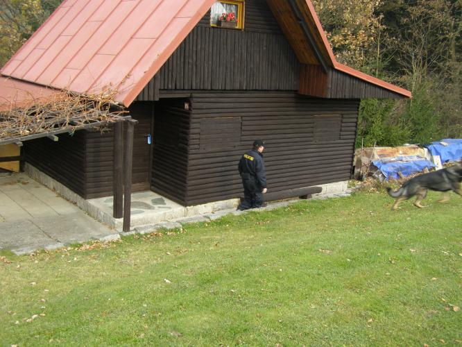 Kontrola chat