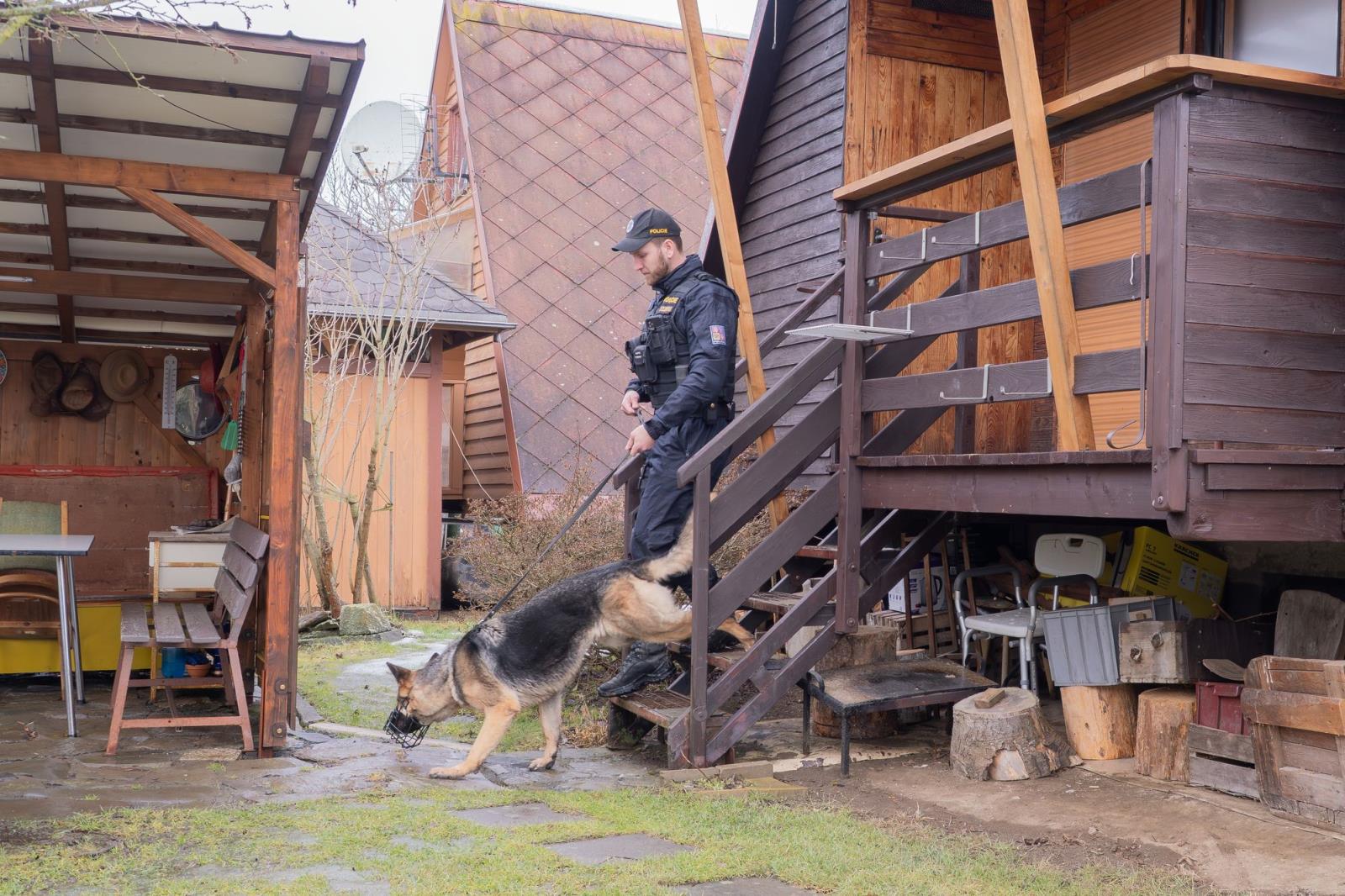 Kontrola chat Mezina