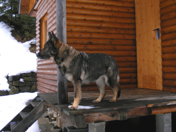 Kontrola chat Pořešín