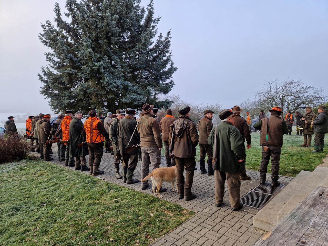 Kontroly mysliveckých honů