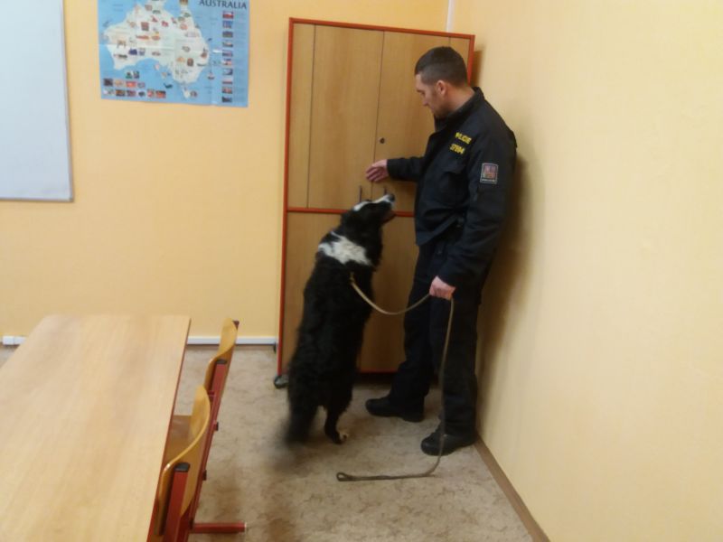 Kotlářská_NVS (6).jpg
