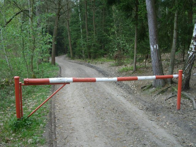 Krádež dřeva
