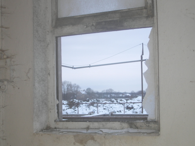 Krádež vepřů foto č. 2