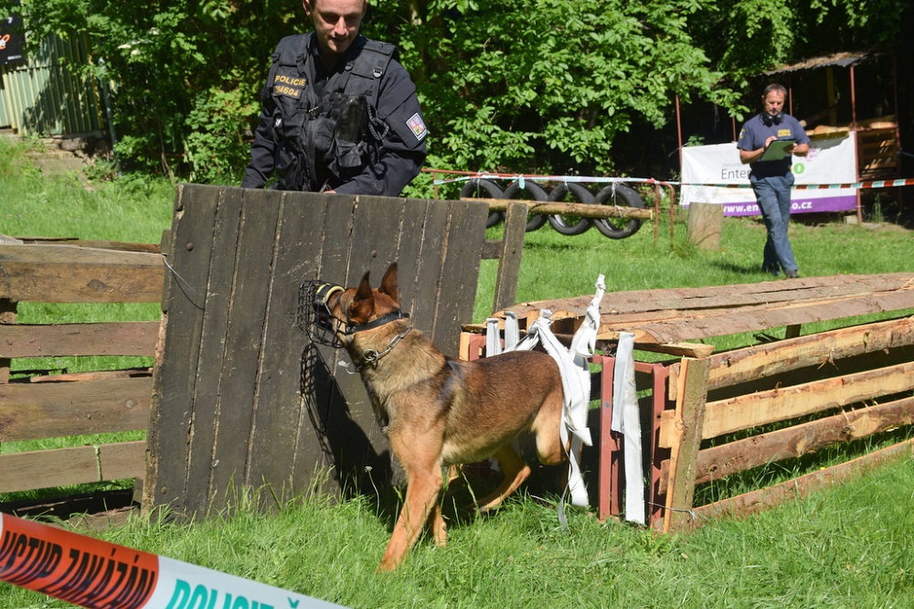 Krajský přebor psovodu - Tužín 2019