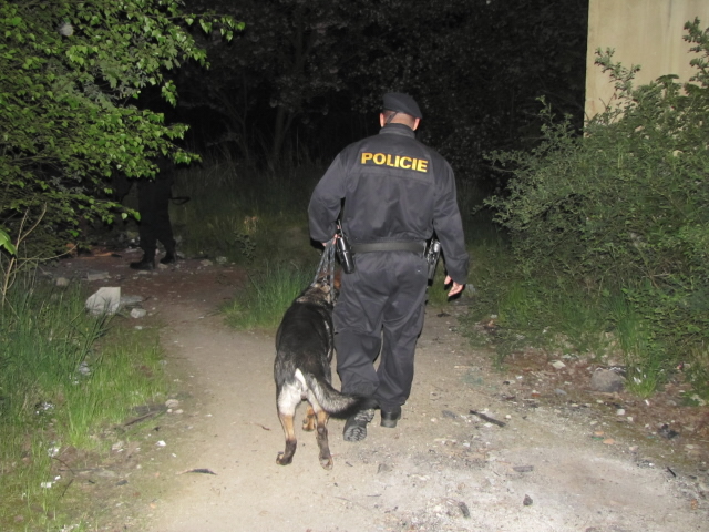 Krajská policejní akce Bezpečná Lokalita - Cheb