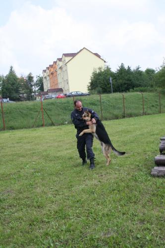 Krajské přebory policejních psů