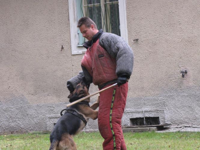 Krajský přebor kynologů 2014 III.