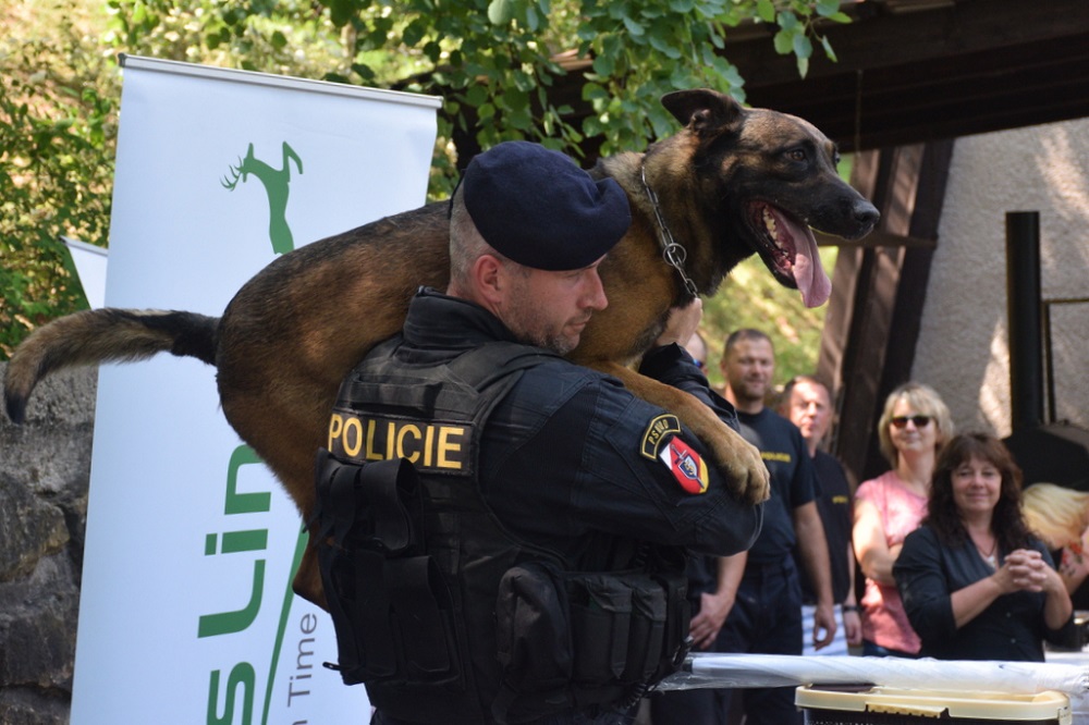Krajský přebor psovodu - Tužín 2019