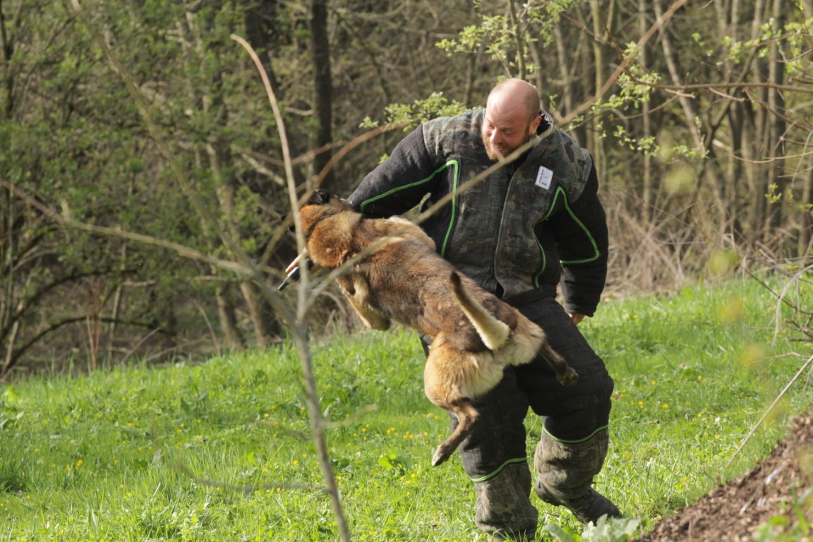 Krajský přebor psovodů se služebními psy KŘP Královéhradeckého kraje (5)