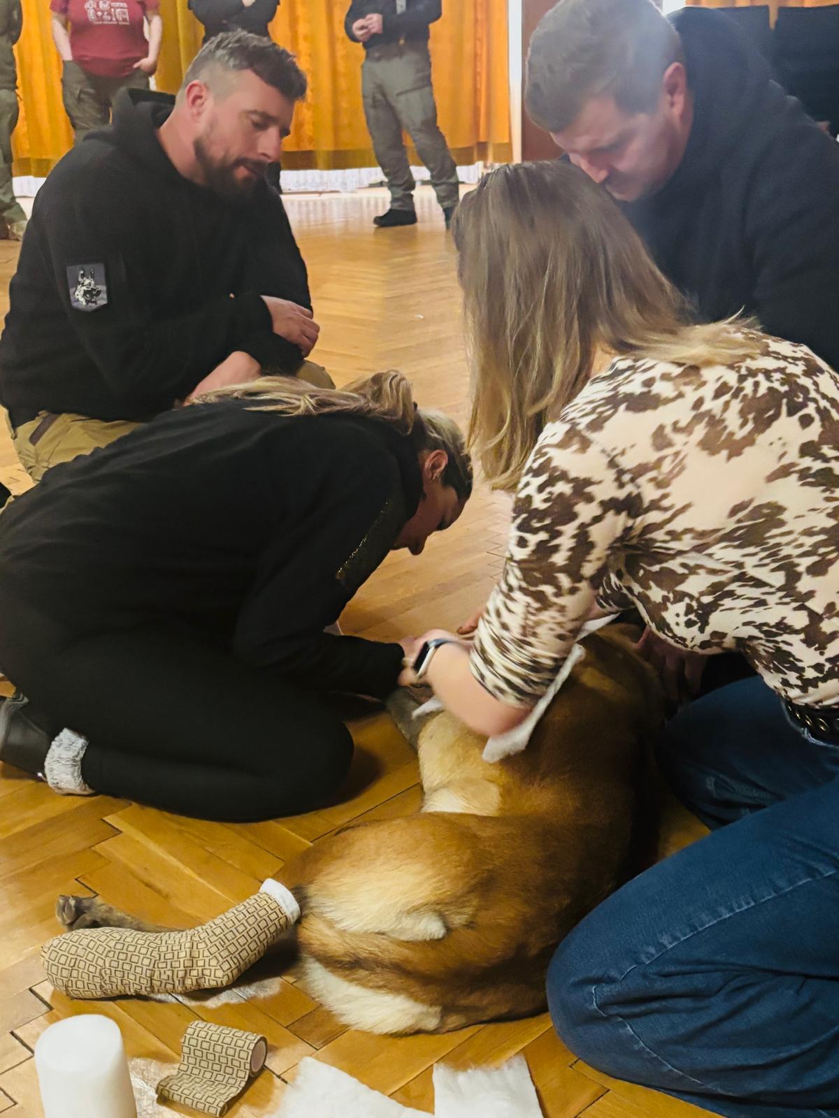 Kurz první pomoci policejním psům