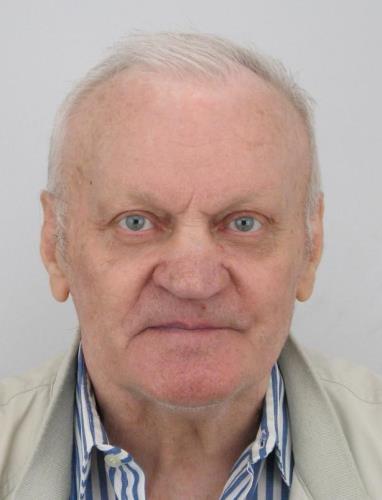 Lemeš.jpg