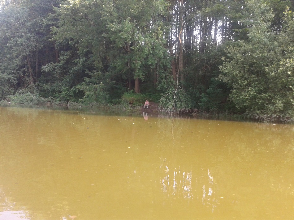 Les království