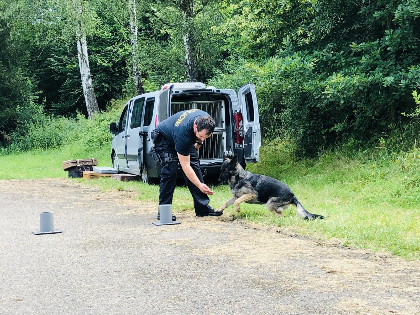 Letní tábor u Louňovic