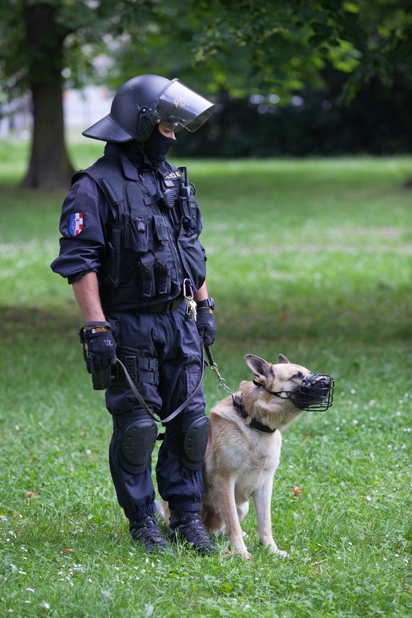 MEF 21 (132).jpg