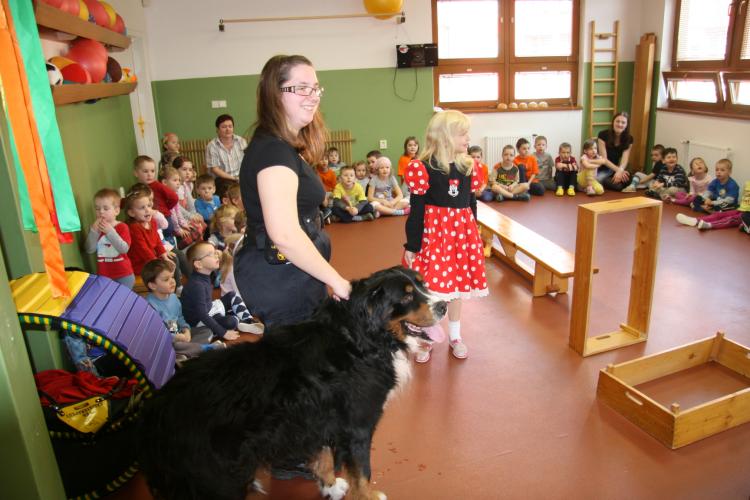 MŠ Korálek.jpg