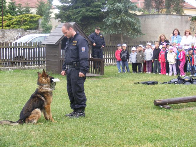 MŠ Velká Dobrá - výcvik služebního psa - poslušnost