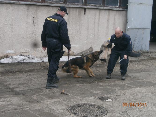 MŠ navštívila policejní složky