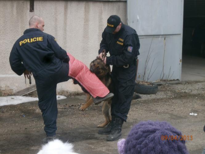 MŠ navštívila policejní složky