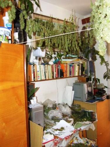 Marihuana Otrokovice 3