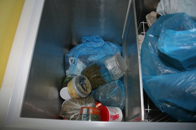 Marihuana Vyškov 4.JPG