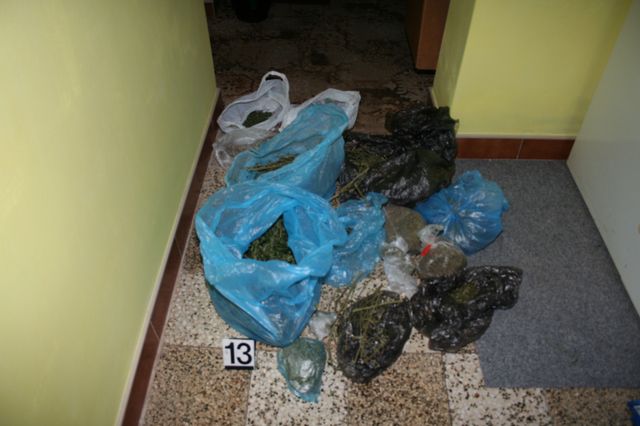 Marihuana Vyškov 6.JPG