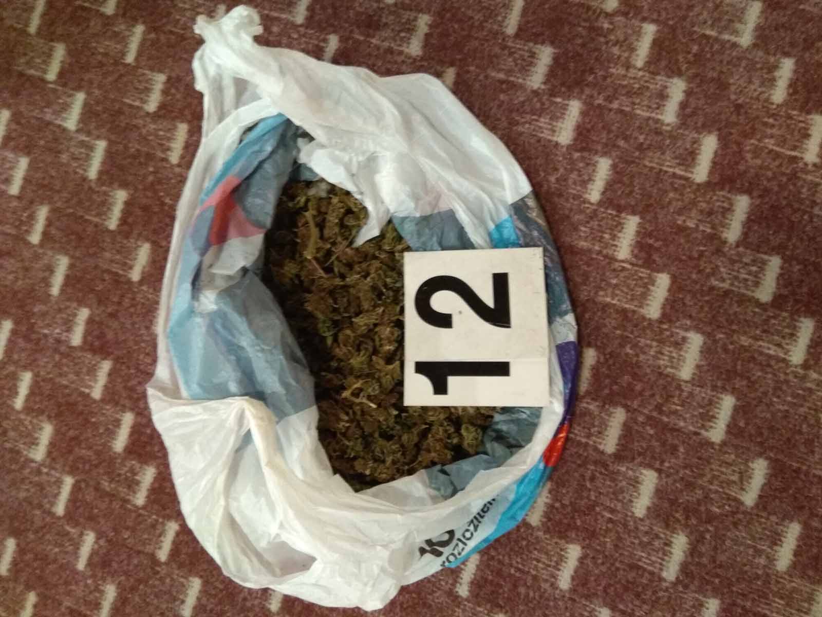 Marihuana_4.jpg