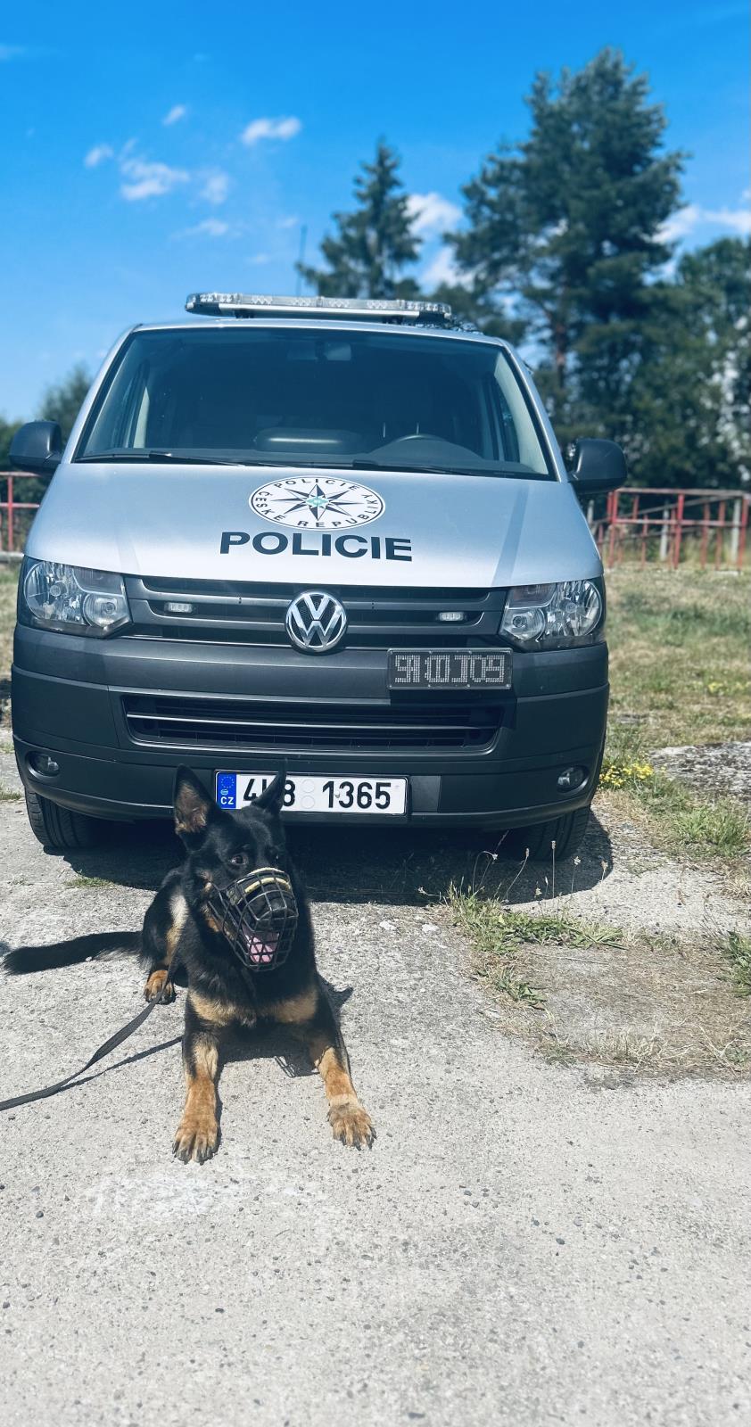 Miky připraven na zásah