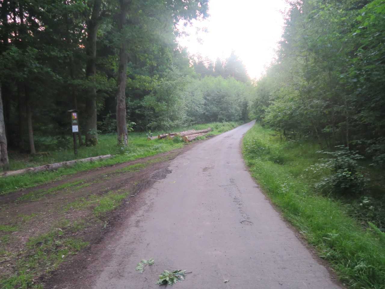Místo dopravní nehody