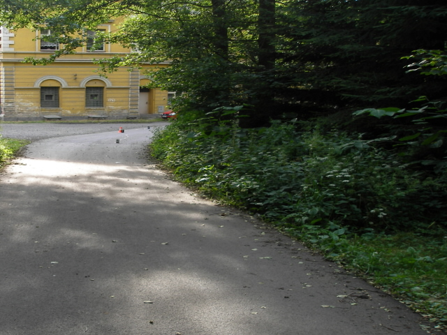 Místo dopravní nehody - Dasnice