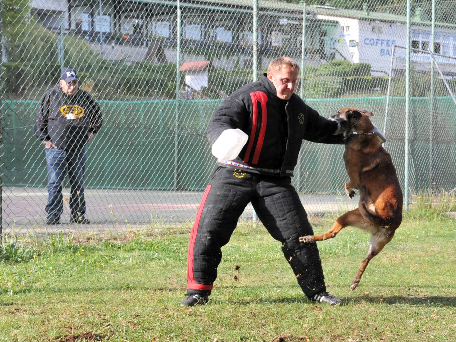 Mistrovství PČR psovodů se služebními psy (14)