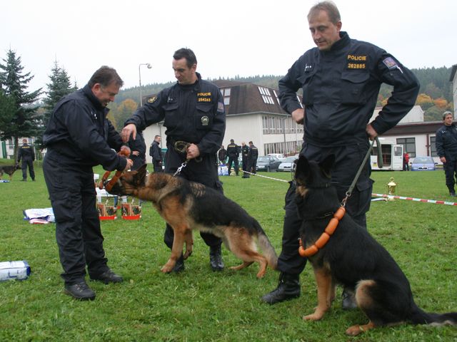 Mistrovství republiky_3