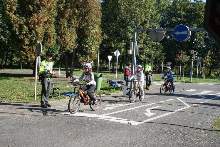 Mladý cyklista (4)