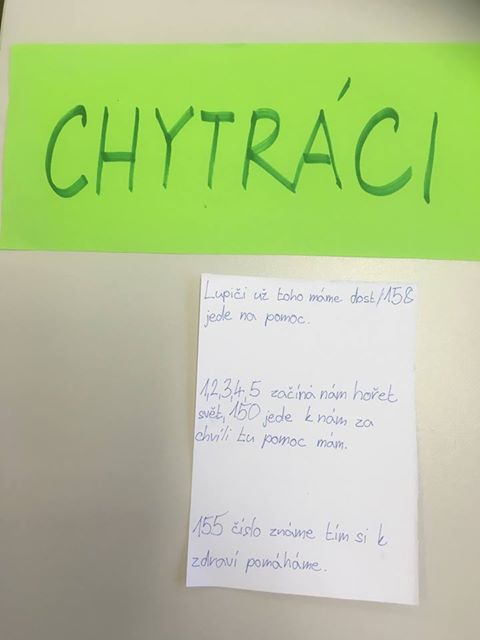 Mladý záchranář