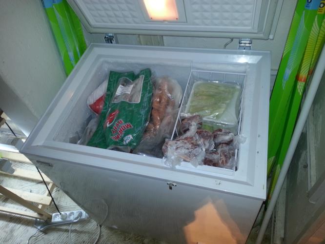 Mrazák plný jídla
