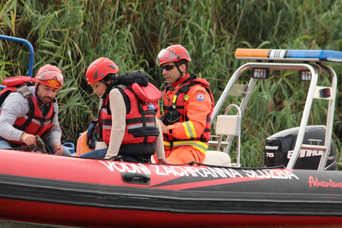 Mušov_pařezy (1).JPG