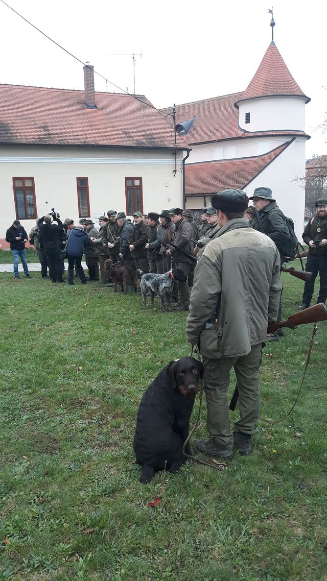 Myslivecký hon Velehrad 4.jpg