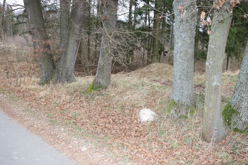 Nález devíti uhynulých koček u Hrbova