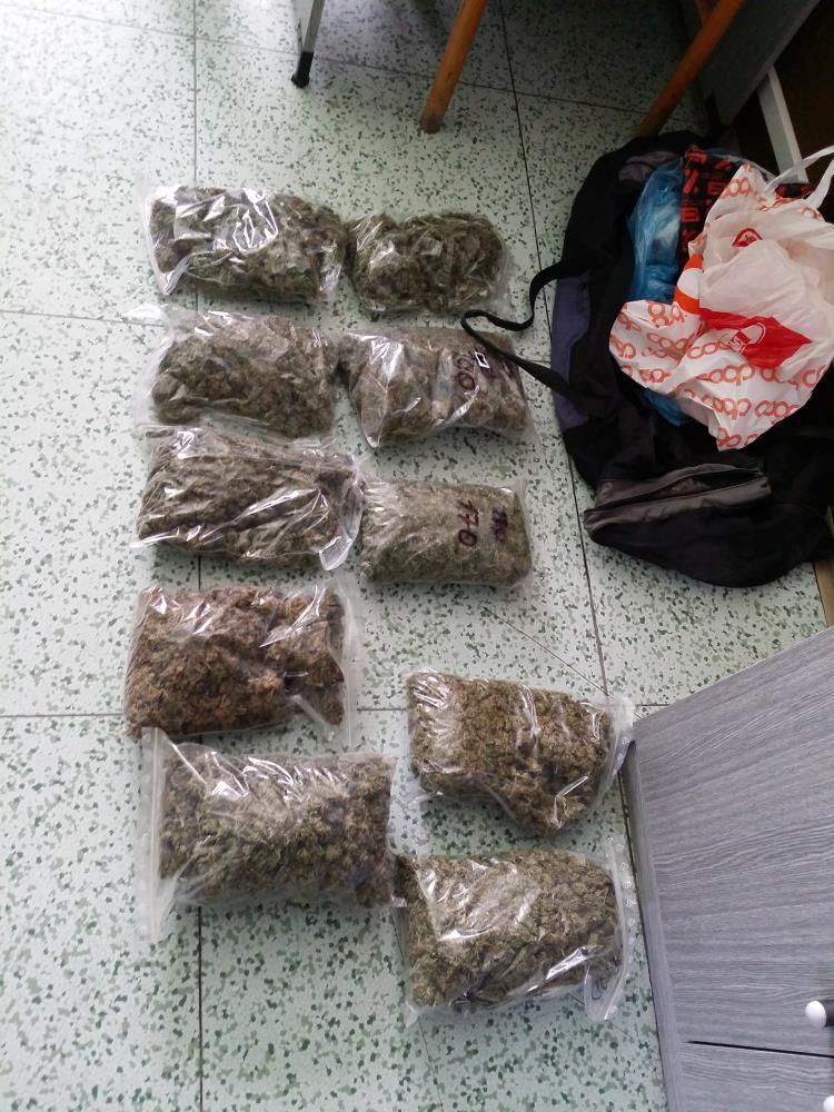 Napajedla - marihuana.jpg