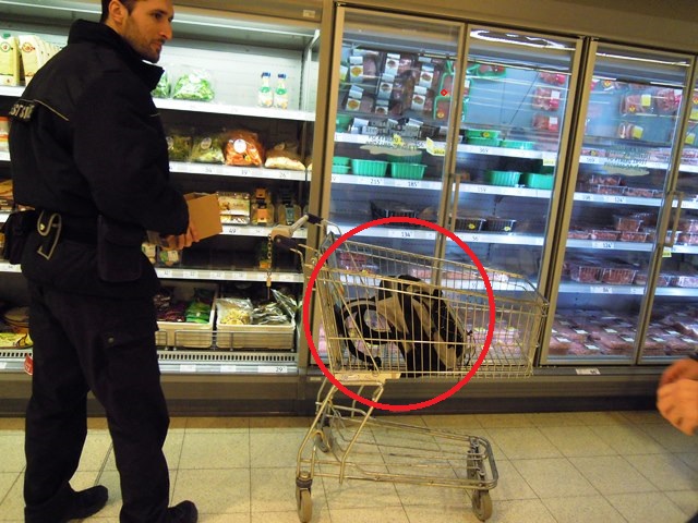 Obezřetnost se vyplatí 