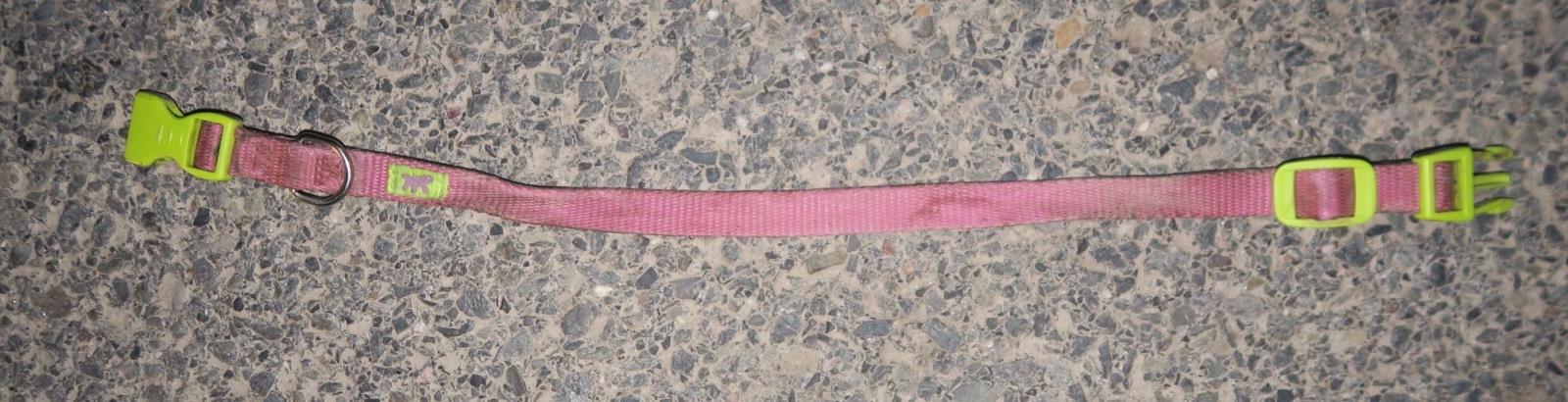 Obojek - pes Křižanov.jpg