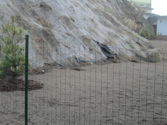 Odcizené dřeviny