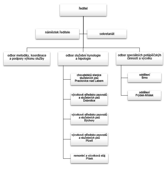 Organizační struktura - obrázek