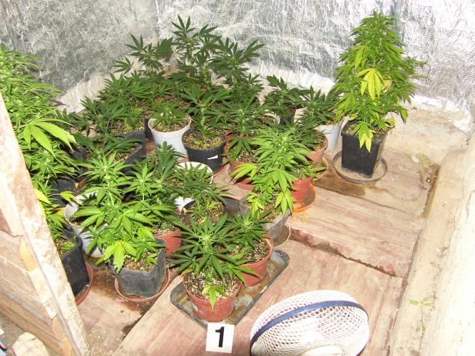 Organizovaná skupina 2.JPG