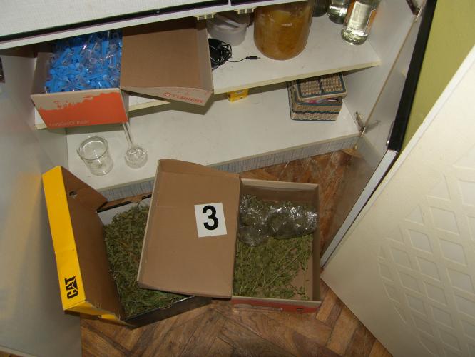 Organizovaná skupina1.JPG