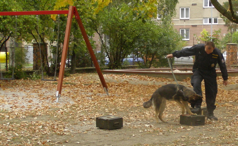 P9292828.JPG