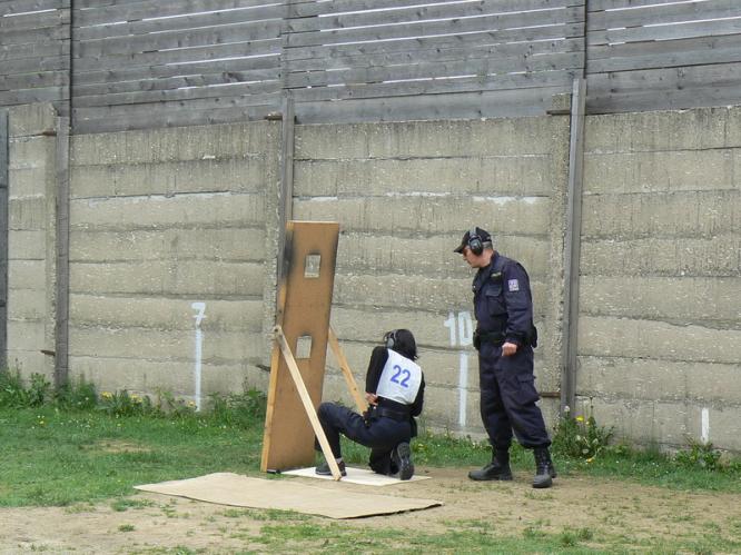 PV41.JPG